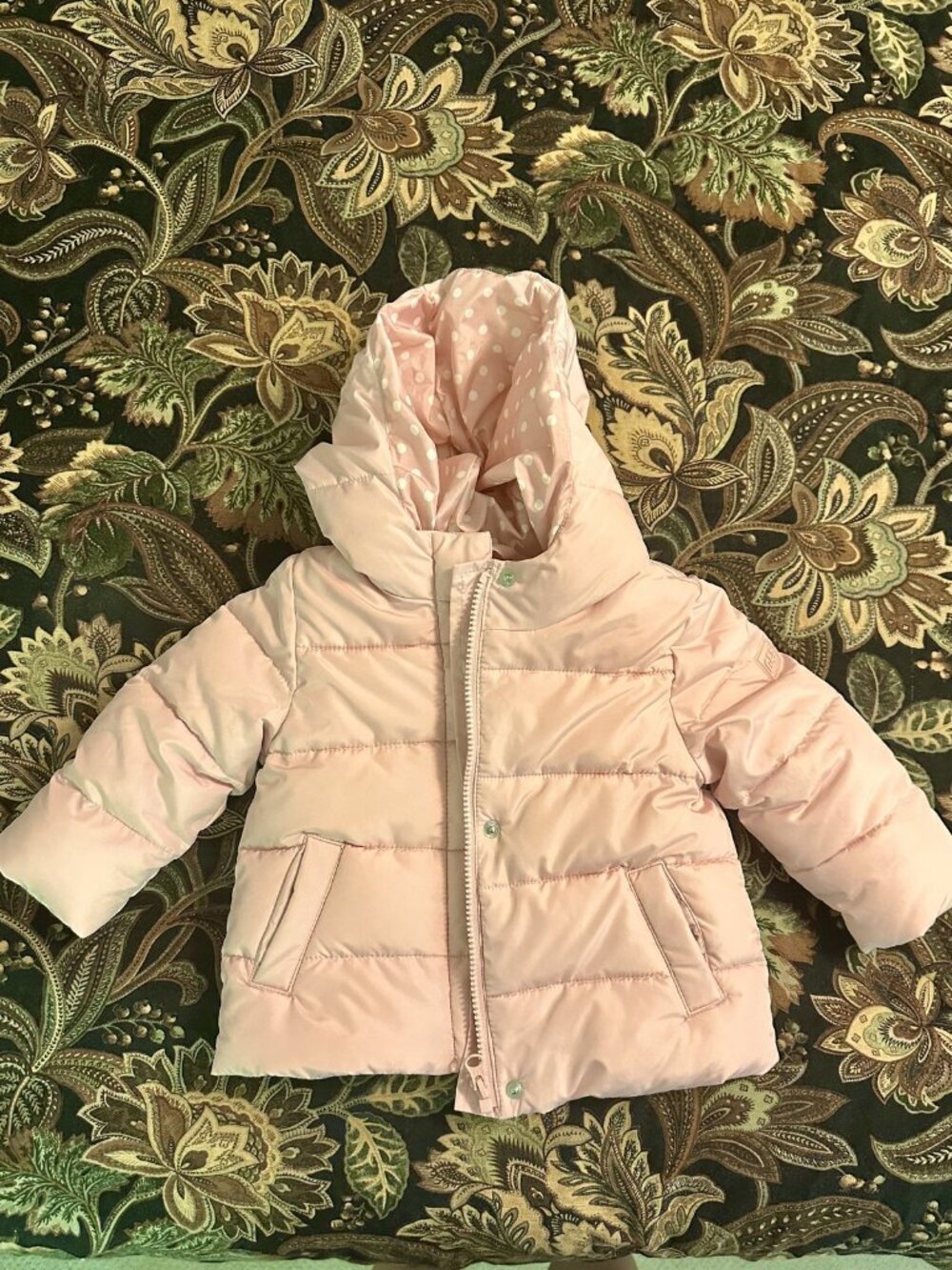 GAP - Baby Girl Puffer Jacket with Hood - NWOT!